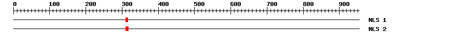 NLS