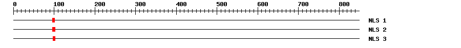 NLS