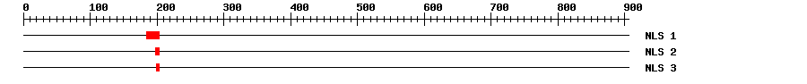 NLS