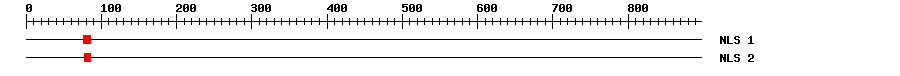 NLS