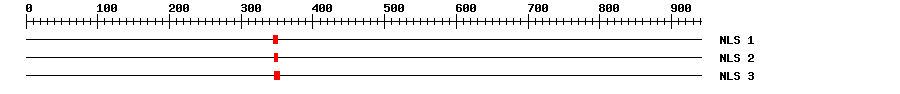 NLS