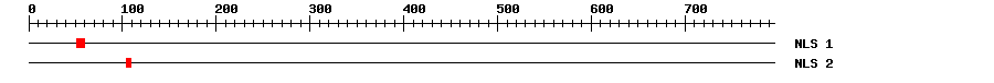 NLS
