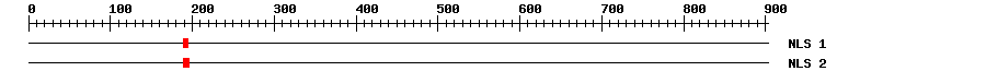 NLS