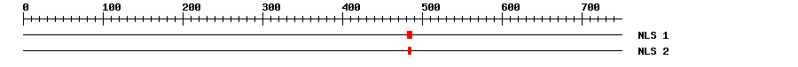 NLS