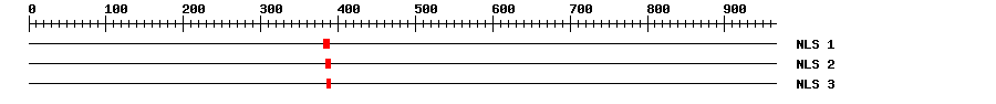 NLS