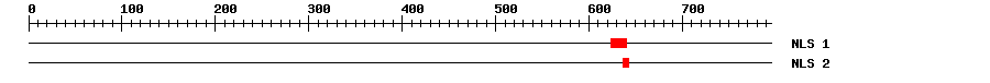 NLS