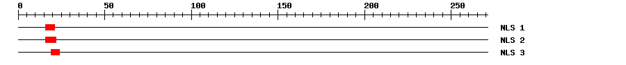 NLS