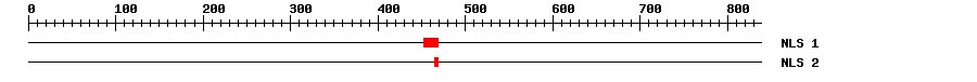 NLS