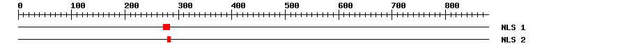NLS