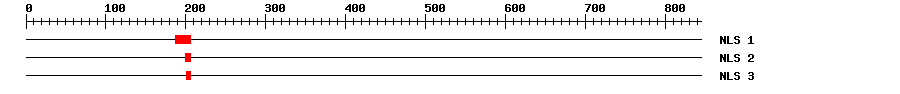 NLS