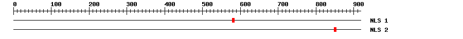 NLS