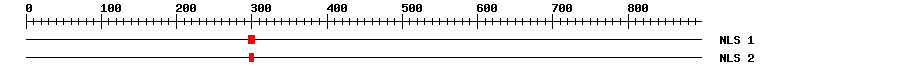 NLS