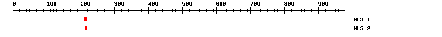 NLS