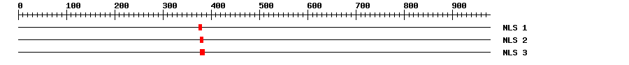 NLS