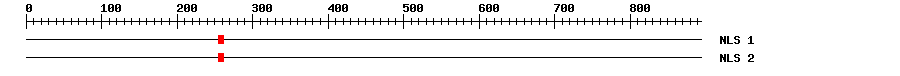 NLS