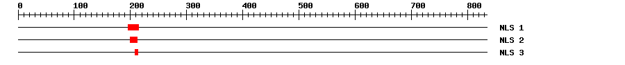 NLS
