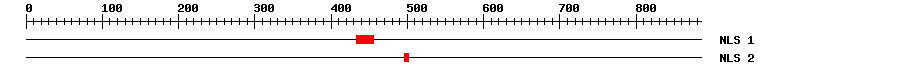 NLS