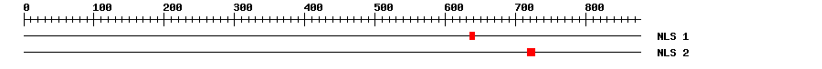 NLS