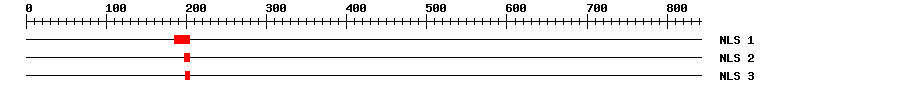 NLS