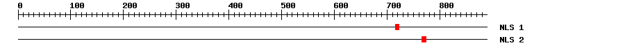 NLS