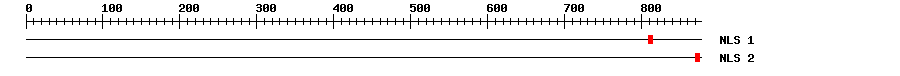 NLS