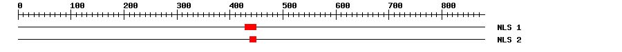 NLS