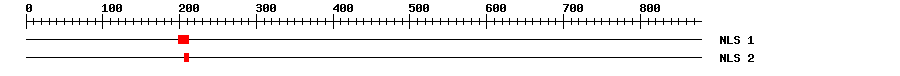 NLS