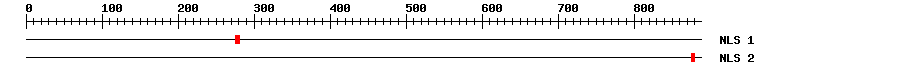 NLS