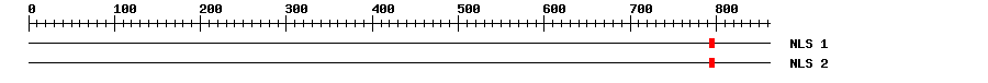 NLS