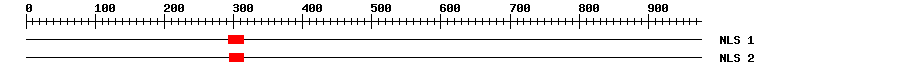 NLS
