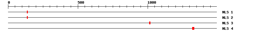 NLS