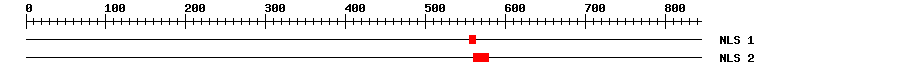 NLS