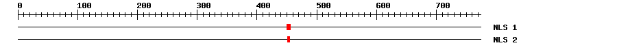 NLS