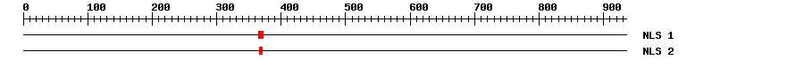 NLS