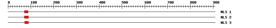 NLS