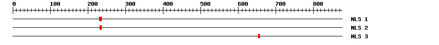 NLS