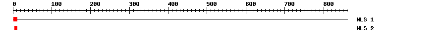 NLS