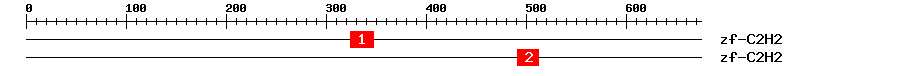 Signature Domain