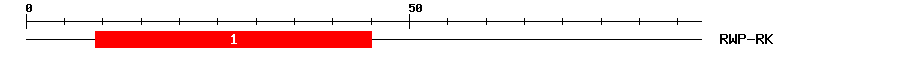 Signature Domain