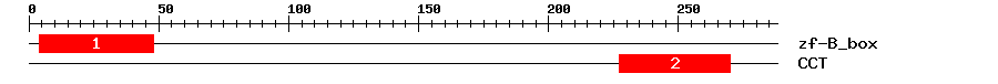 Signature Domain