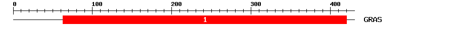 Signature Domain