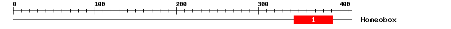 Signature Domain