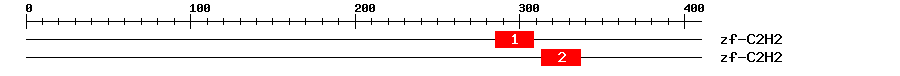 Signature Domain