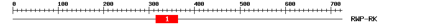 Signature Domain