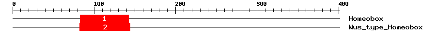 Signature Domain