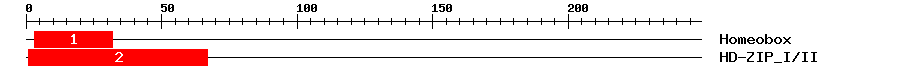 Signature Domain