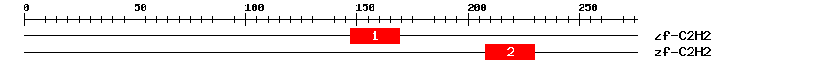 Signature Domain