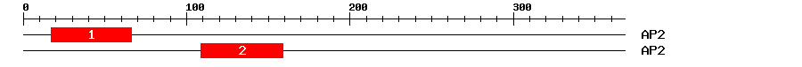 Signature Domain
