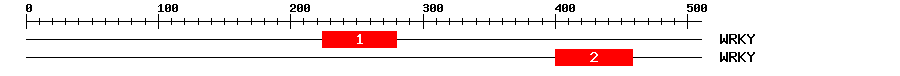 Signature Domain