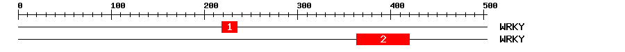 Signature Domain
